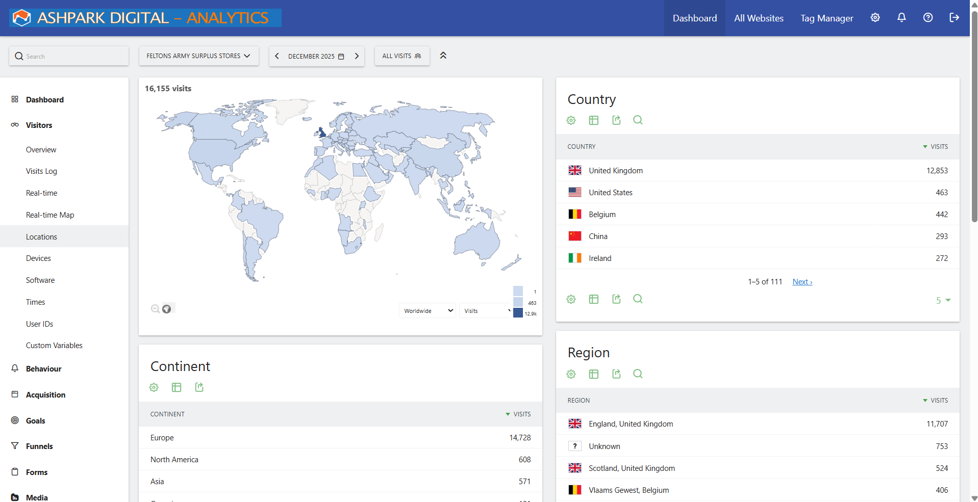 AshPark Web Design Analytics 3
